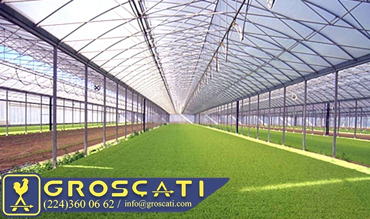 Polikarbon Levha 10 mm - 2.10 mt x 6.00 mt