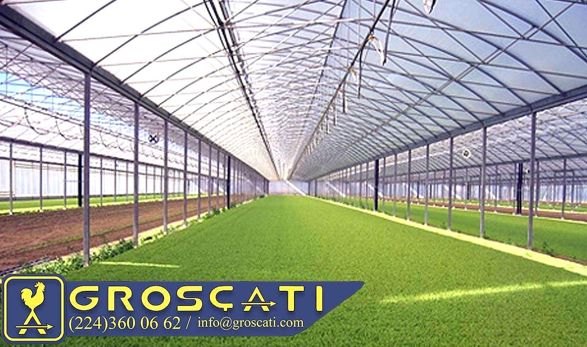 Polikarbon Levha 4 mm / 2.10 mt x 6.00 mt