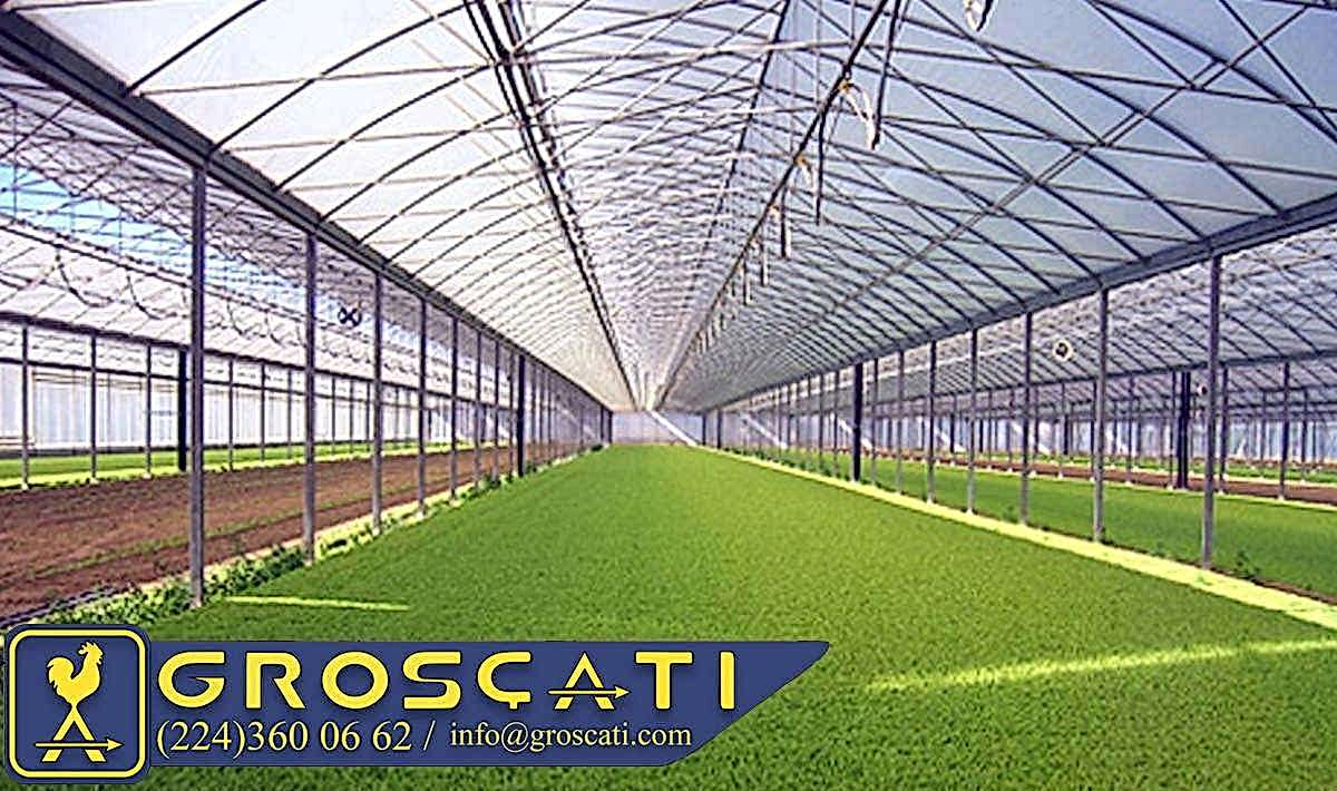 Polikarbon Levha 6 mm - 2.10 mt x 6.00 mt